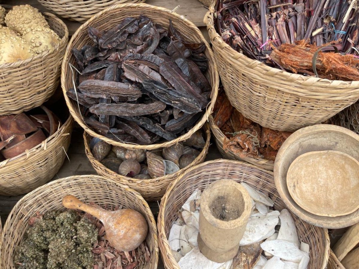 Pharmacopée traditionnelle béninoise, plantes et racines