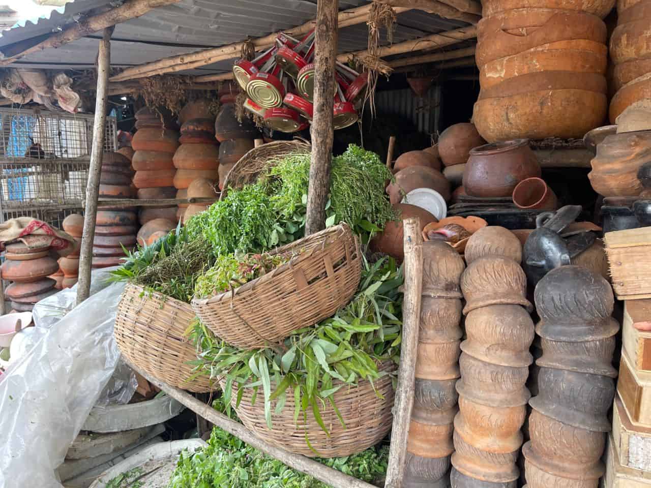 Poteries et herbes fraiches sous un abri de marche
